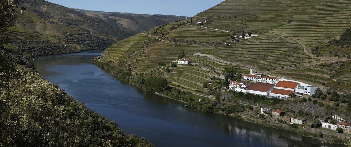 Quinta de la Rosa
